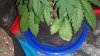 20151017_235533.jpg