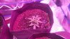 20151016_210511.jpg