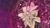 20151018_214031.jpg