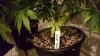 20151020_224750.jpg 20151020_224750.jpg