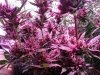 20151021_004944.jpg