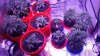 20151020_170313.jpg