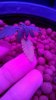 WP_20151022_11_49_33_Pro.jpg
