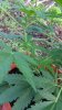 20151023_092429.jpg