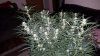 20151026_034839.jpg