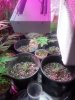 20151028_125641.jpg