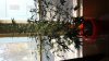 20151104_101229.jpg