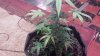 20151104_174107.jpg