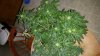 20151101_130253.jpg