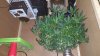 20151108_092137.jpg
