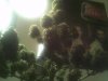 IMG_20120319_012026.jpg