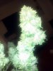 IMG_20120319_012248.jpg