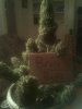 IMG_20120319_013703.jpg