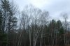 DSC_0113.JPG