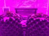image.jpeg image.jpeg