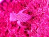 20151117_184012.jpg