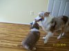 100_3777.JPG