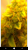 wp_ss_20151128_0003.png