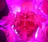 2015-12-06_20.47.10.jpg