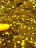 plant 3.jpg