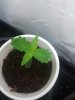 2012-03-23 10.44.05.jpg