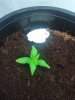 2012-03-23 10.43.45.jpg