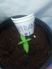 2012-03-23 10.43.28.jpg