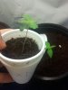 2012-03-23 10.42.49.jpg