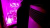 DSC00029.jpg