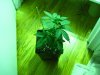 IMG_0164.jpg