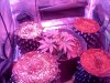 20120324234052.jpg 20120324234052.jpg