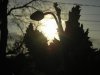 sunrise4.jpg