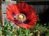 DSCN1145.jpg