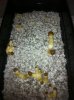 3-29-12.jpg