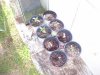 100_4422.jpg