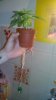 IMG-20151218-WA0000.jpeg