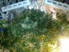 IMG_20160109_201921.jpg
