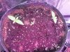 20160109_011424.jpg