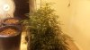 20160113_155623.jpg