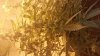 20160113_165735.jpg