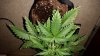 20160119_163217.jpg 20160119_163217.jpg