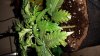 20160119_163145.jpg 20160119_163145.jpg