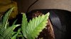 20160119_163136.jpg 20160119_163136.jpg