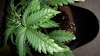 20160119_163125.jpg 20160119_163125.jpg