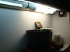 DSC02324.jpg DSC02324.jpg