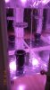 DSCN0237.jpg