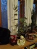 DSC00967.jpg