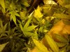 IMG-20120407-00616.jpg
