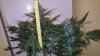 20160123_111949.jpg