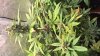 WP_20160127_12_14_50_Pro_LI.jpg